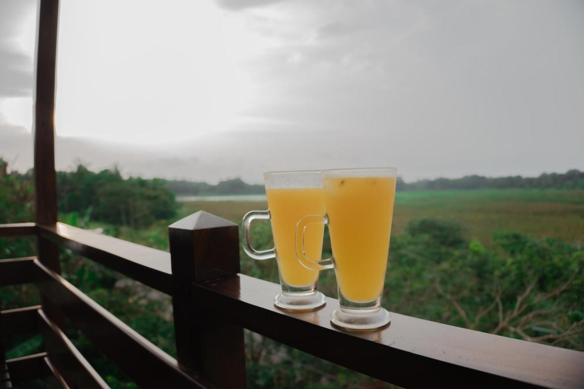 Wilpattu Restaurant & Guest House Pahala Maragahawewa Экстерьер фото